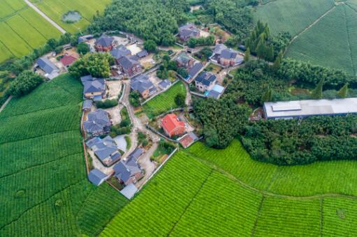 鄉(xiāng)村振興專干三年工作總結(jié)_振興鄉(xiāng)村三年總結(jié)專干工作報(bào)告_振興鄉(xiāng)村三年總結(jié)專干工作匯報(bào)