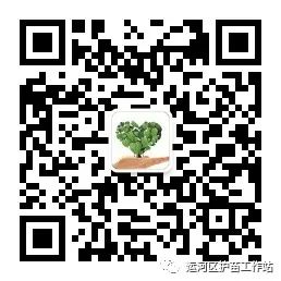 護(hù)苗工作開展情況_護(hù)苗2021工作情況_護(hù)苗工作總結(jié)