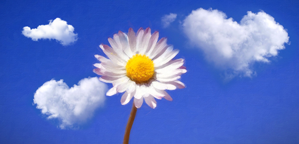 pr剪輯時視頻播放卡頓_pr剪輯播放卡頓_pr在剪輯時播放有點卡